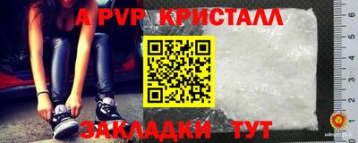 гашик Тверь