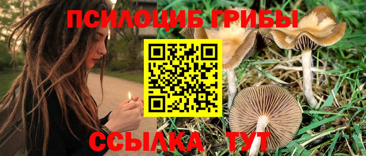 Галлюциногенные грибы Cubensis  Вход с VPN  Пенза 